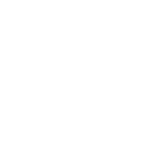 動態(tài)密度解析